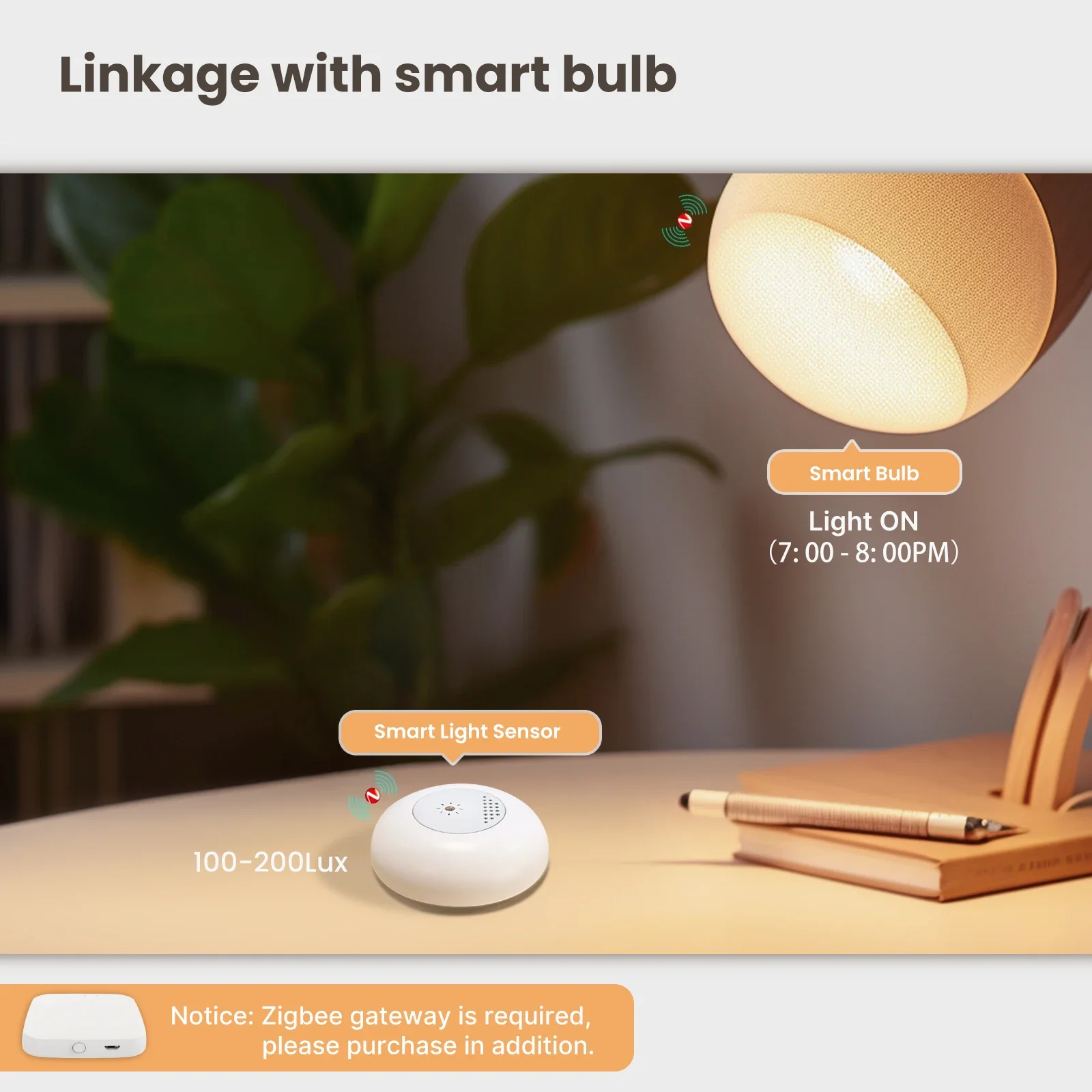 MOES Tuya Zigbee Smart Light S - Home Automation Ideas บทวิจารณ์และราคา