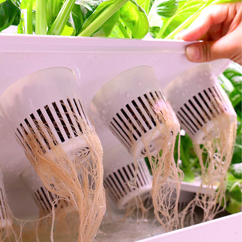 ระบบปลูกพืชไฮโดรโปนิกส์ ระบบอั - Diy Automation บทวิจารณ์และราคา